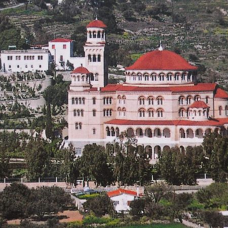 Svetlana & Michalis Oasis Hotel Agia Marina  エクステリア 写真