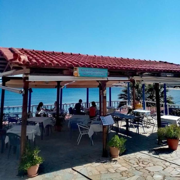 Svetlana & Michalis Oasis Hotel Agia Marina  エクステリア 写真