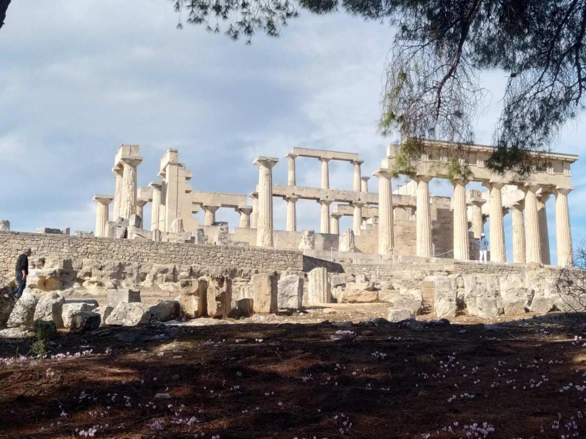 Svetlana & Michalis Oasis Hotel Agia Marina  エクステリア 写真