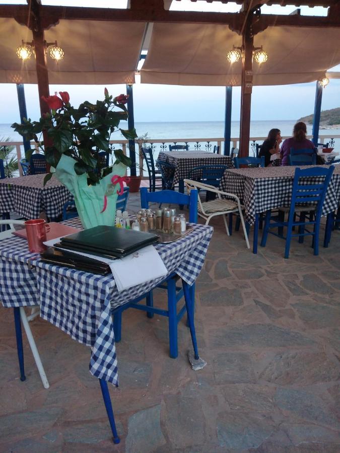 Svetlana & Michalis Oasis Hotel Agia Marina  エクステリア 写真