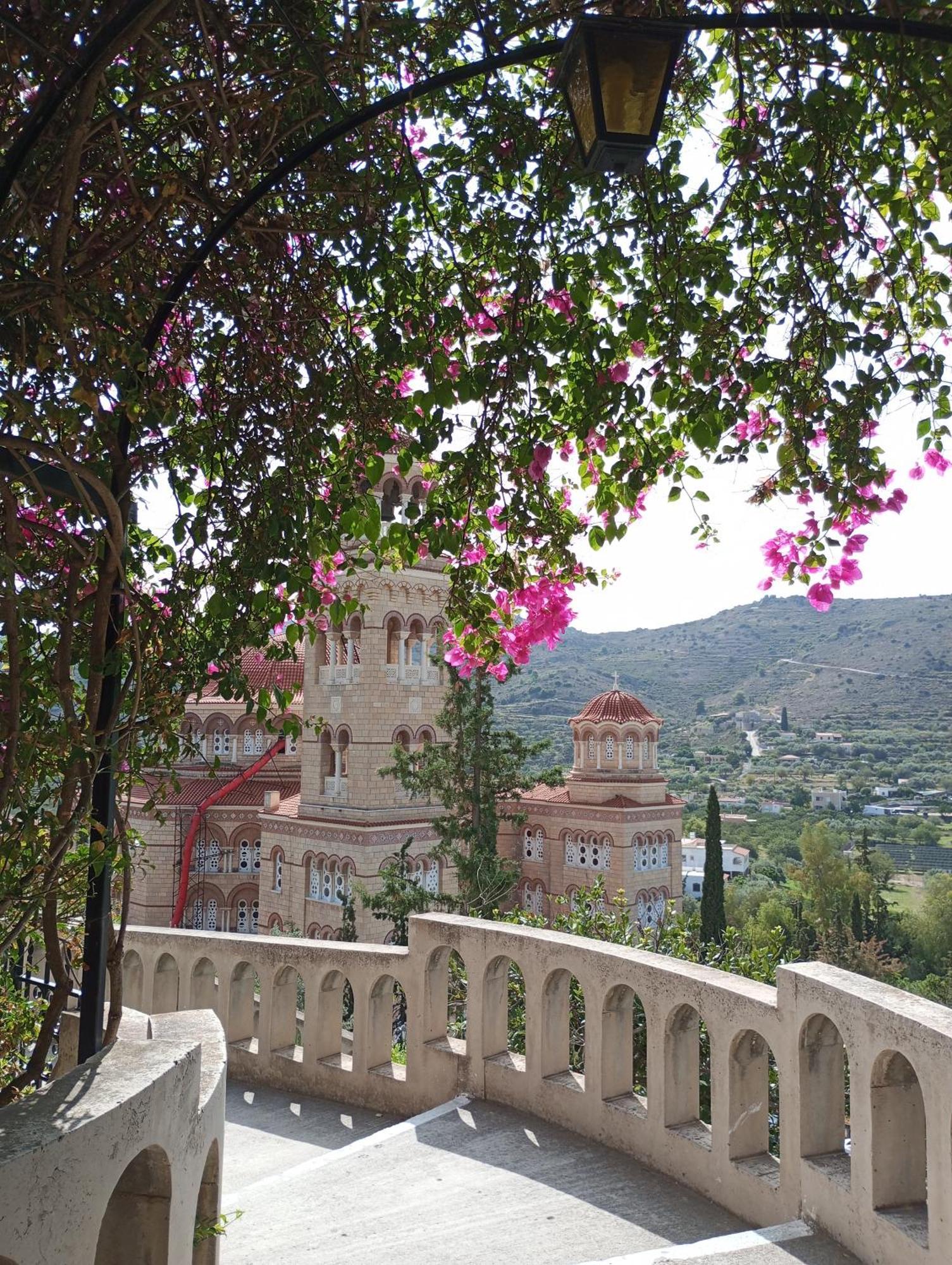 Svetlana & Michalis Oasis Hotel Agia Marina  エクステリア 写真