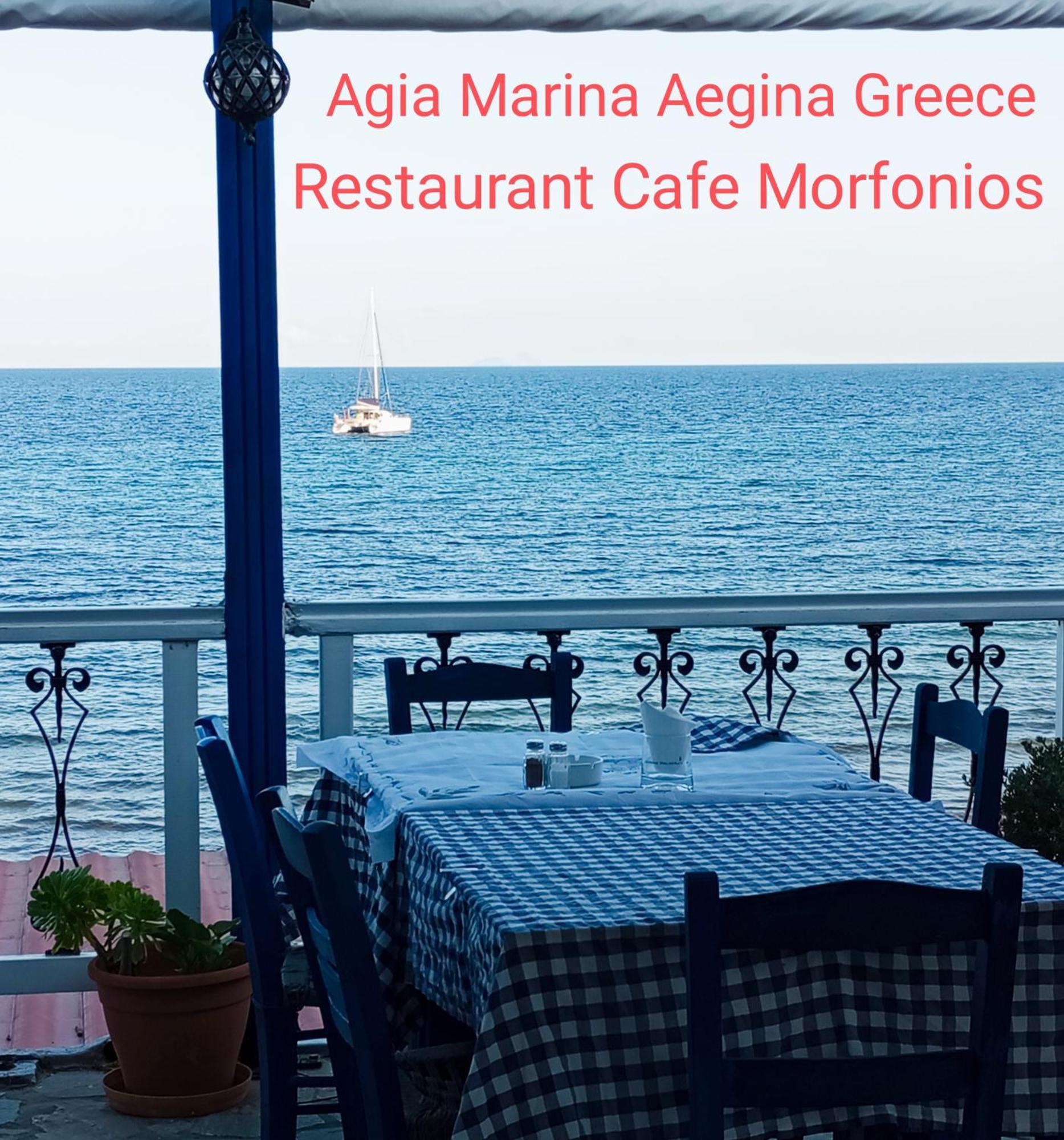 Svetlana & Michalis Oasis Hotel Agia Marina  エクステリア 写真