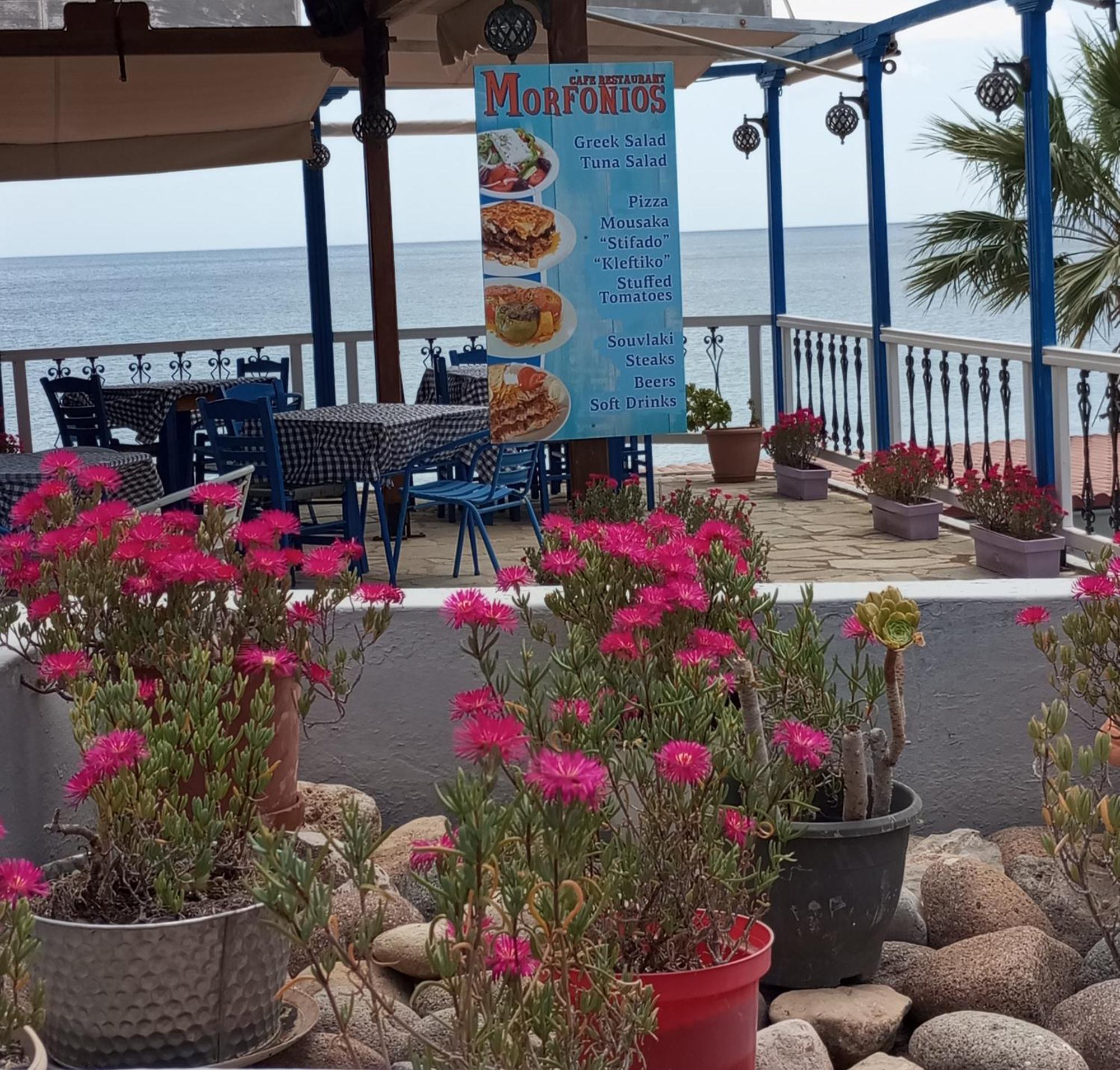 Svetlana & Michalis Oasis Hotel Agia Marina  エクステリア 写真