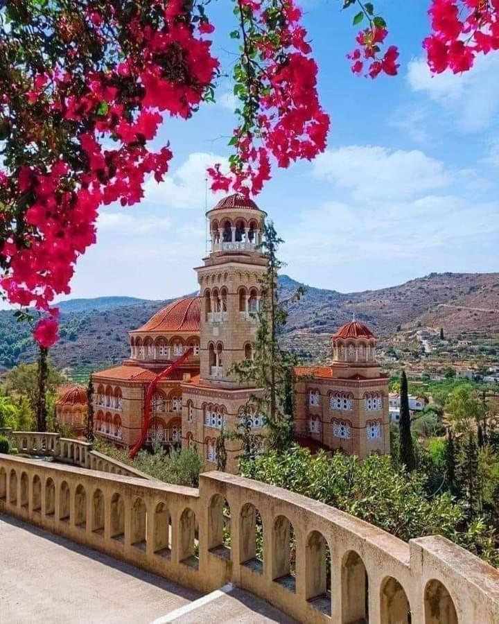 Svetlana & Michalis Oasis Hotel Agia Marina  エクステリア 写真