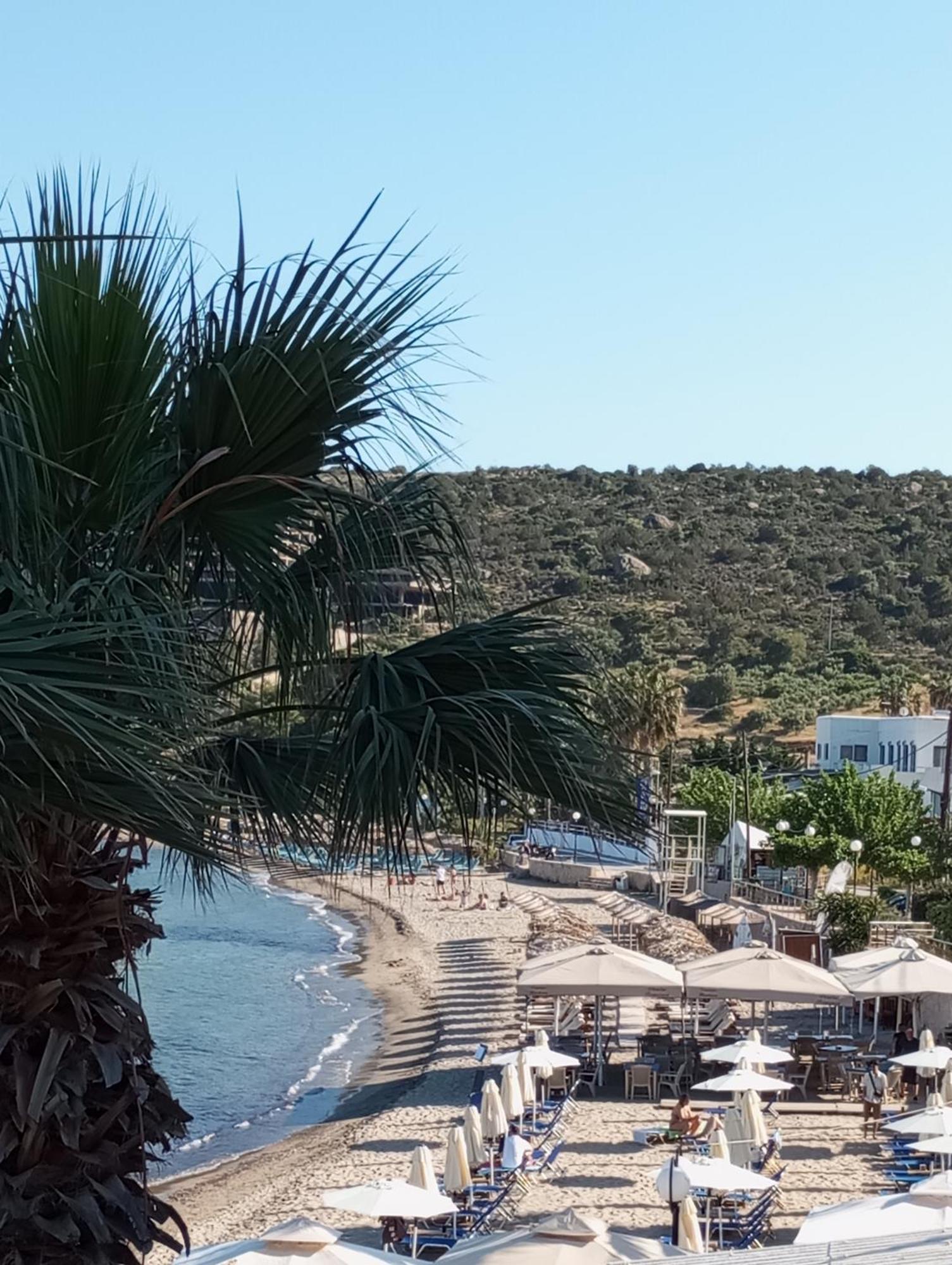 Svetlana & Michalis Oasis Hotel Agia Marina  エクステリア 写真