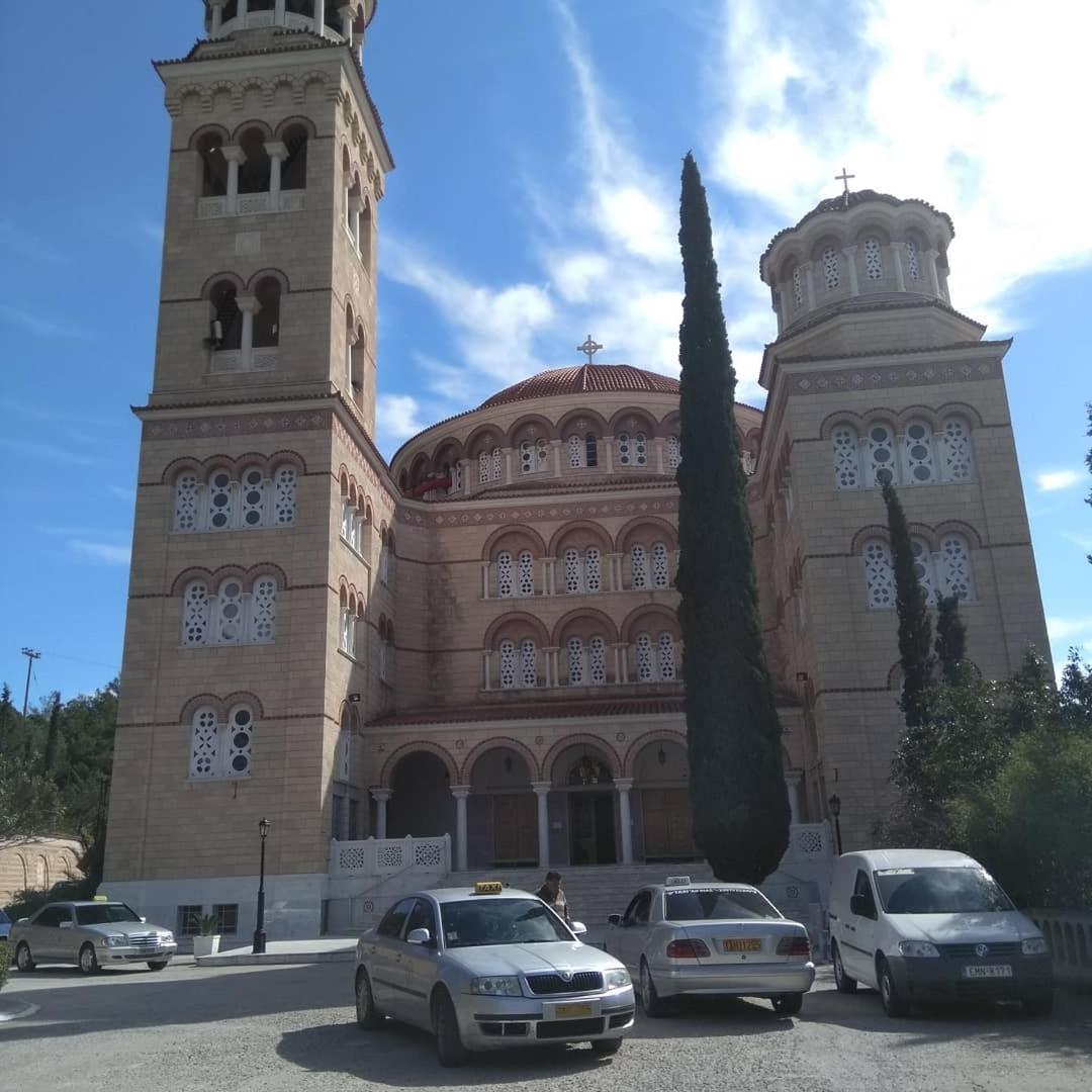 Svetlana & Michalis Oasis Hotel Agia Marina  エクステリア 写真